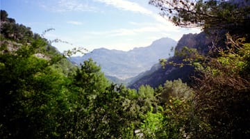 Serra de Tramuntana terraces and mountain scenery
